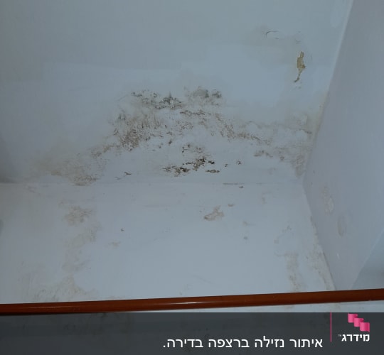 איתור נזילה ברצפה בדירה. 